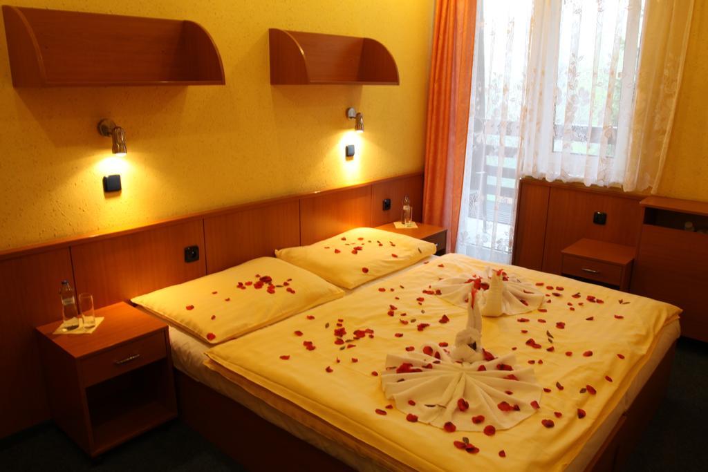 Hotel Odra Ostravice Rum bild
